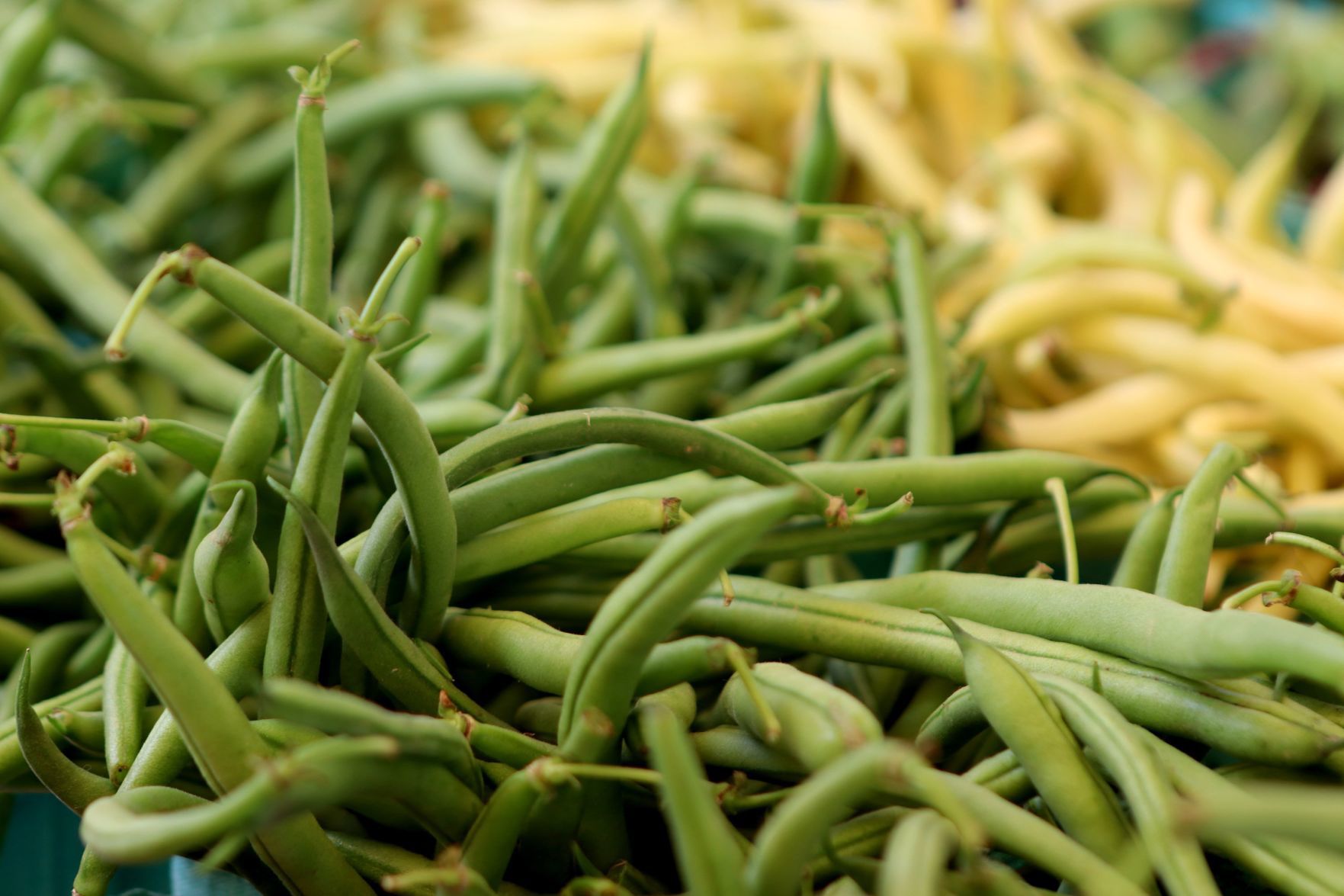 Tower Grove Farmers Market